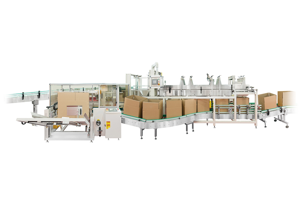 5251633315639720.jpg ZDP-1NA智能跌落式裝箱機(jī).jpg